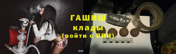 индика Богданович
