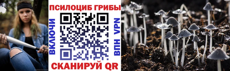 Галлюциногенные грибы Psilocybine cubensis  что такое наркотик  мориарти формула  Кондрово 