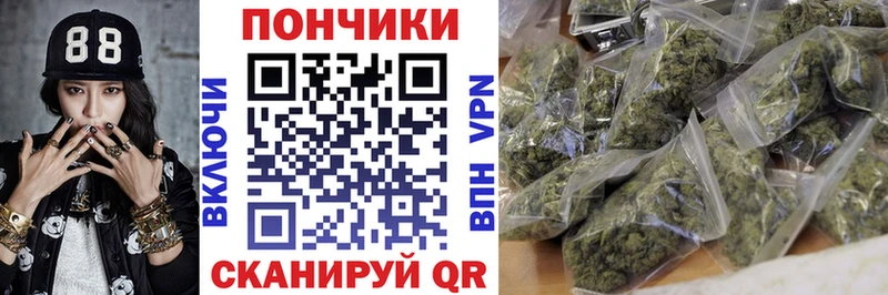 Бошки Шишки планчик  Кондрово 